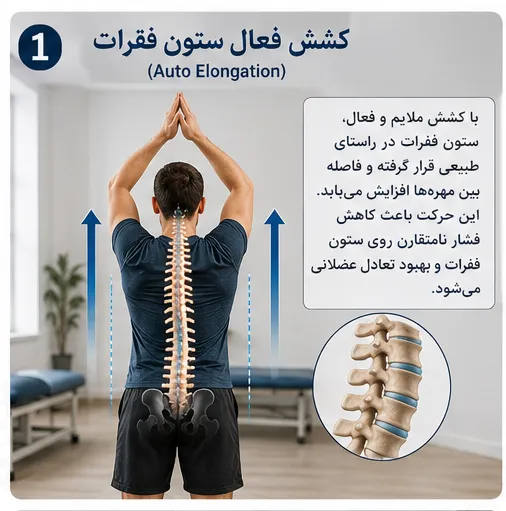 کشش فعال ستون فقرات