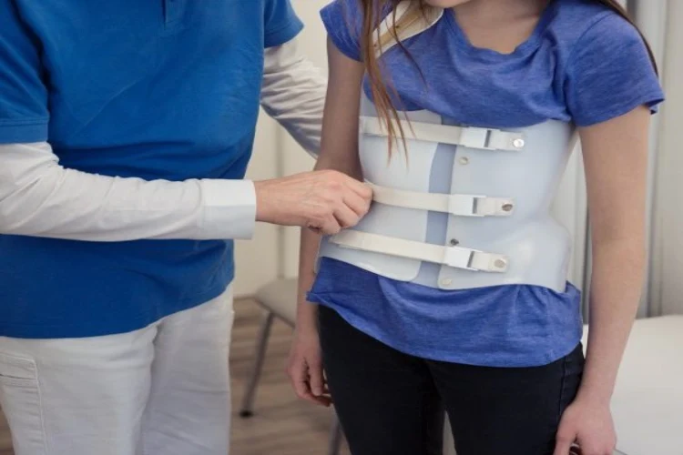 بریس شنو چیست